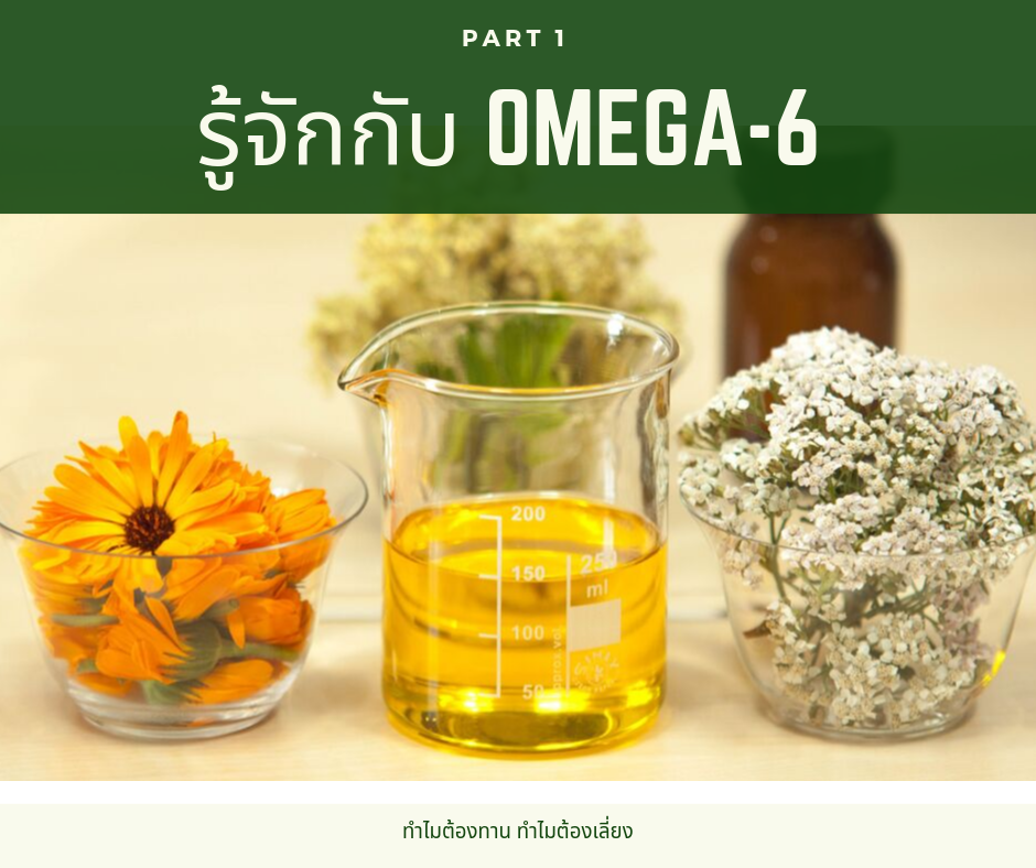 โอเมก้า 6 คืออะไร