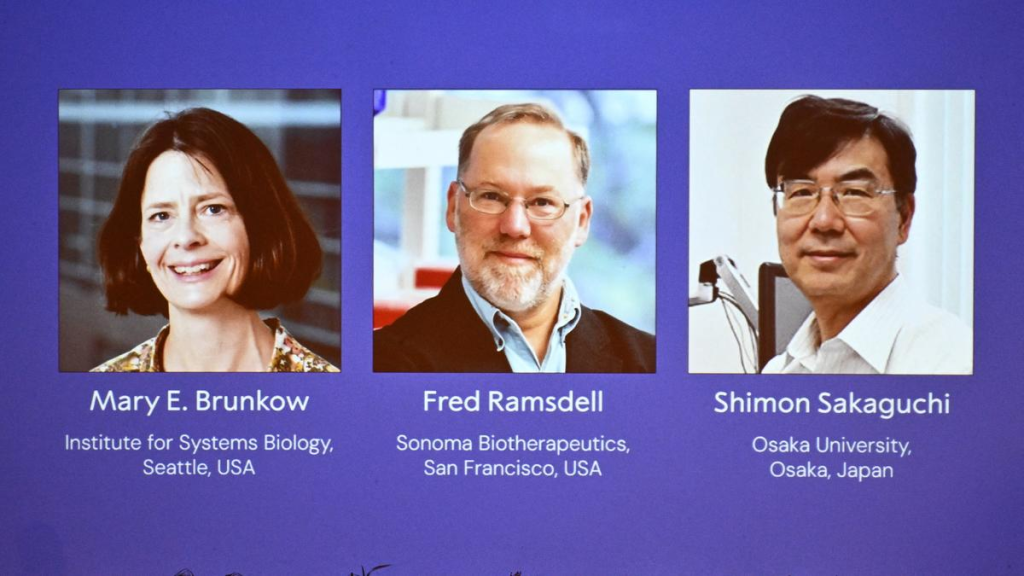 Nobel Prize Awards 2025 Regulatory T cells